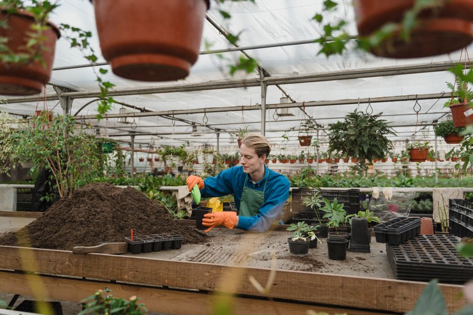 Gardener filling a self-watering planter with high-quality potting soil - self watering herb planter Gardener filling a self-watering planter with high-quality potting soil - self watering herb planter