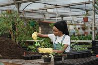 Woman in White Shirt and Blue Denim Jumper Preparing Soil for Planting