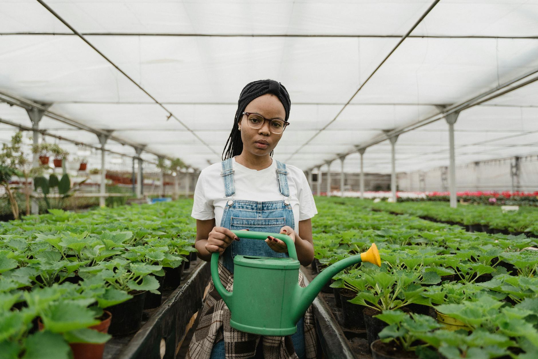 https://www.pexels.com/photo/person-woman-flowers-agriculture-6508762/