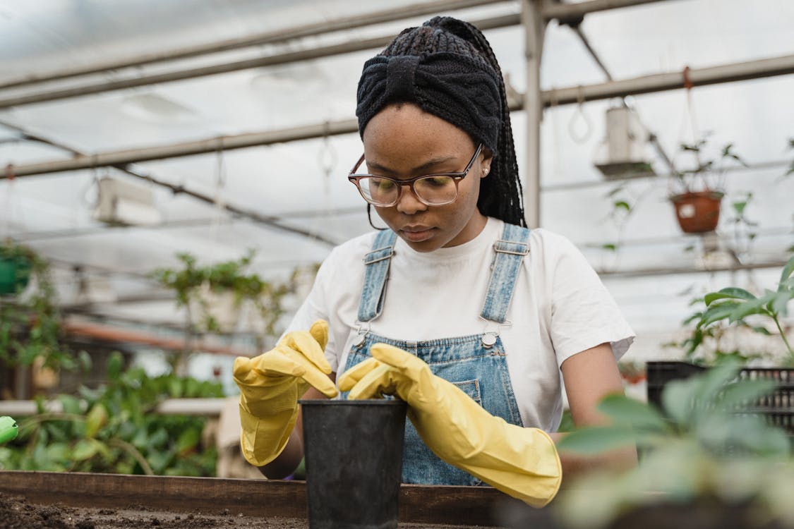 Free A Girl Putting Soil In A Pot Stock Photo