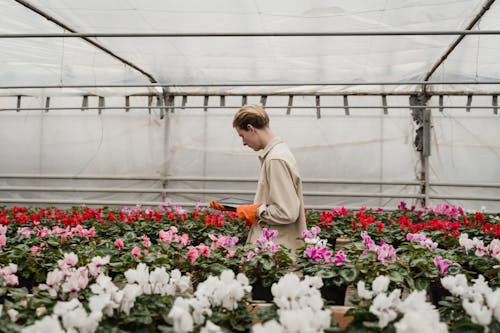 Man surrounded with Flowering Plants 