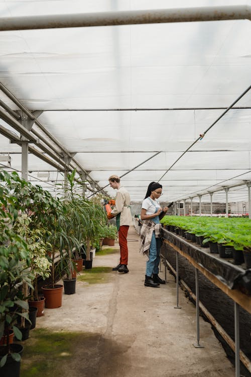 Two People inside a Greenhouse 