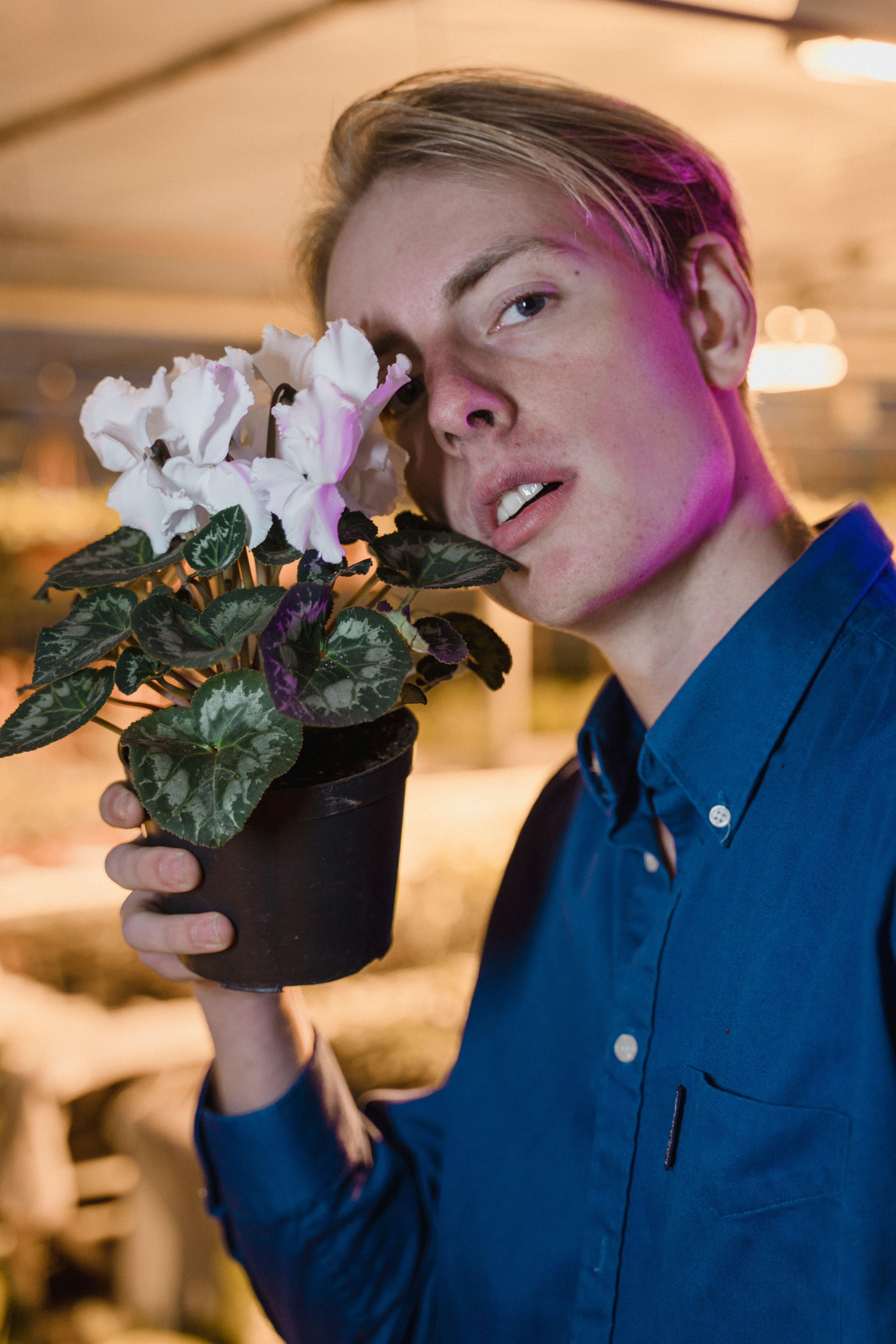 A young man in a blue shirt holds a potted plant with white flowers indoors.