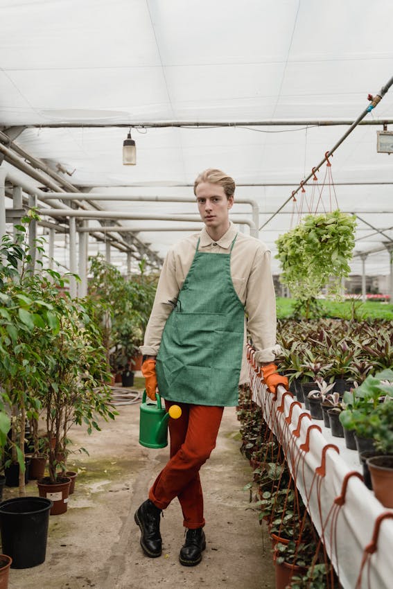 How Houseplants Can Brighten Your Winter and Combat Seasonal Affective Disorder