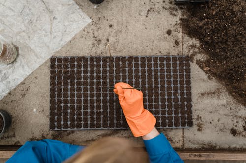 Gardener planting Seeds on a Tray of Soil 