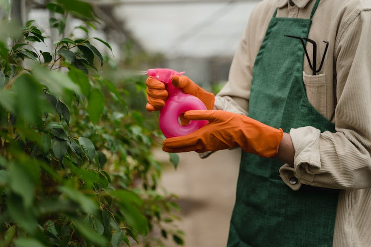 Person Holding Spray Bottle Watering The Plants