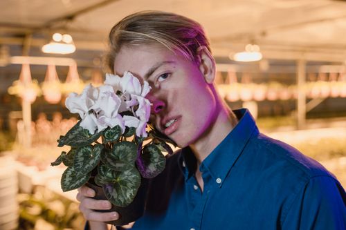 Free Stylish young man posing indoors with white cyclamen flowers, vibrant lighting. Stock Photo