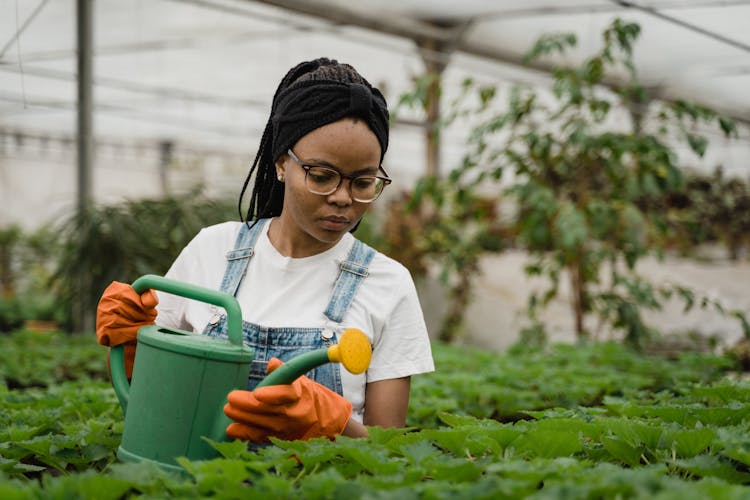 Woman Watering The Plants