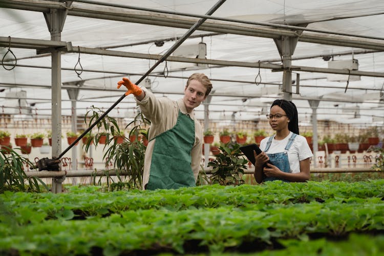 Man Teaching A Woman About Plants