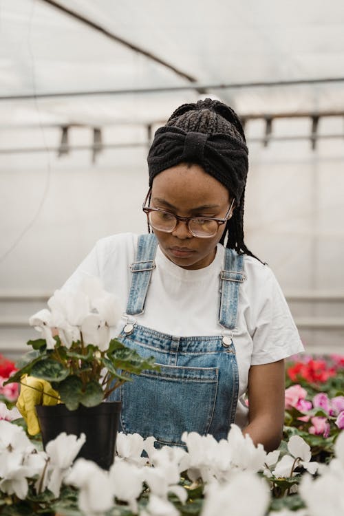 Woman Holding a Potted Plant