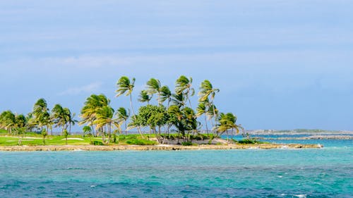 Fotobanka s bezplatnými fotkami na tému idylický, kokosové palmy, krajina pri mori