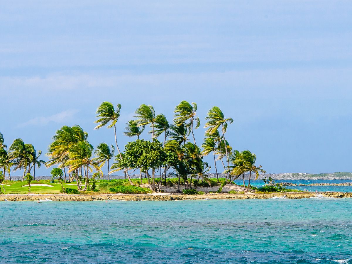 Palm trees above a bright turquoise shoreline