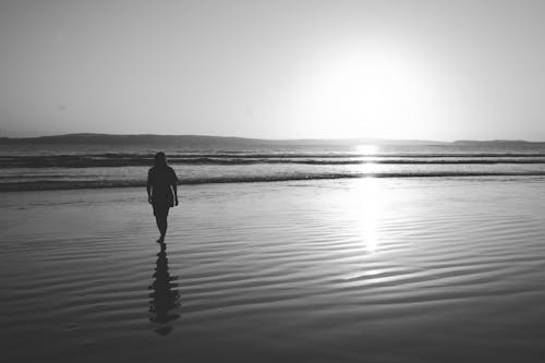 Person silhouette walking on wet seacoast at sunset