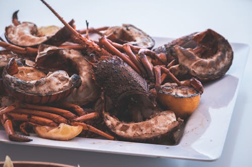 Free Appetizing roasted lobsters served on plate in restaurant Stock Photo