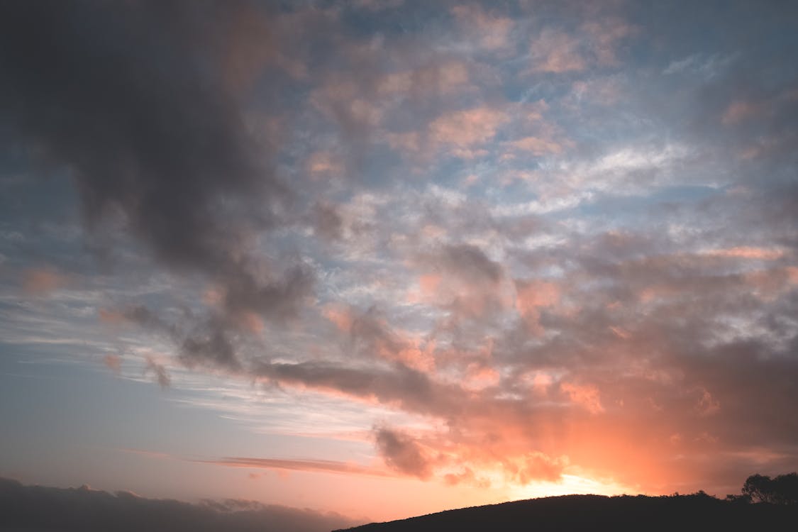 Foto profissional grátis de admirar, altitude, ângulo baixo