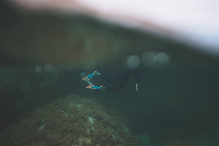 Diver With Fins Swimming Underwater With Seaweed