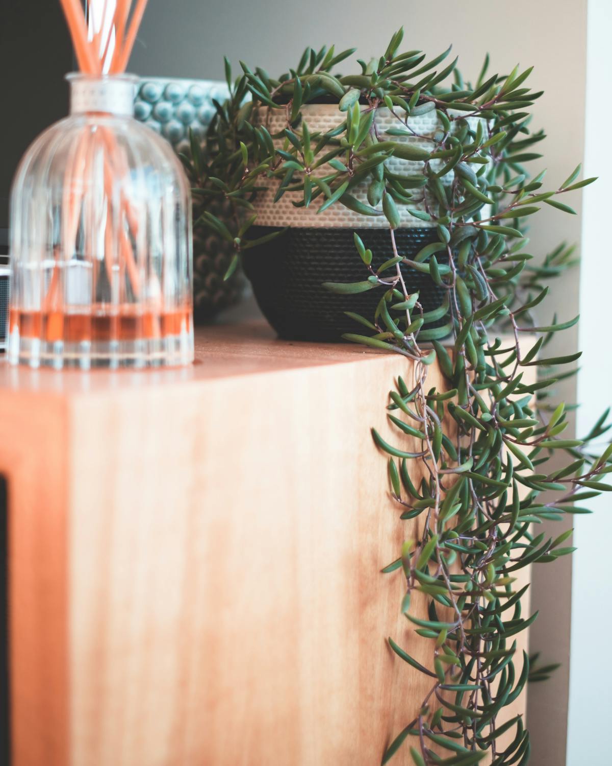 Boho decorating - adding greenery and hanging plants to your space!