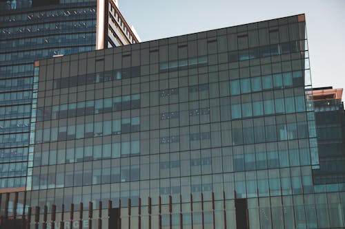 Prestige building with glass facade in daytime