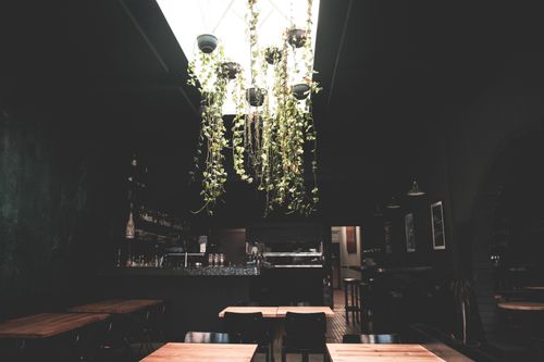 Free Empty modern comfortable restaurant with glass ceiling and wooden tables prepared for guests Stock Photo