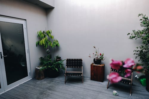 Comfortable chairs and small wooden table placed on house veranda decorated with various exotic potted plants in daylight