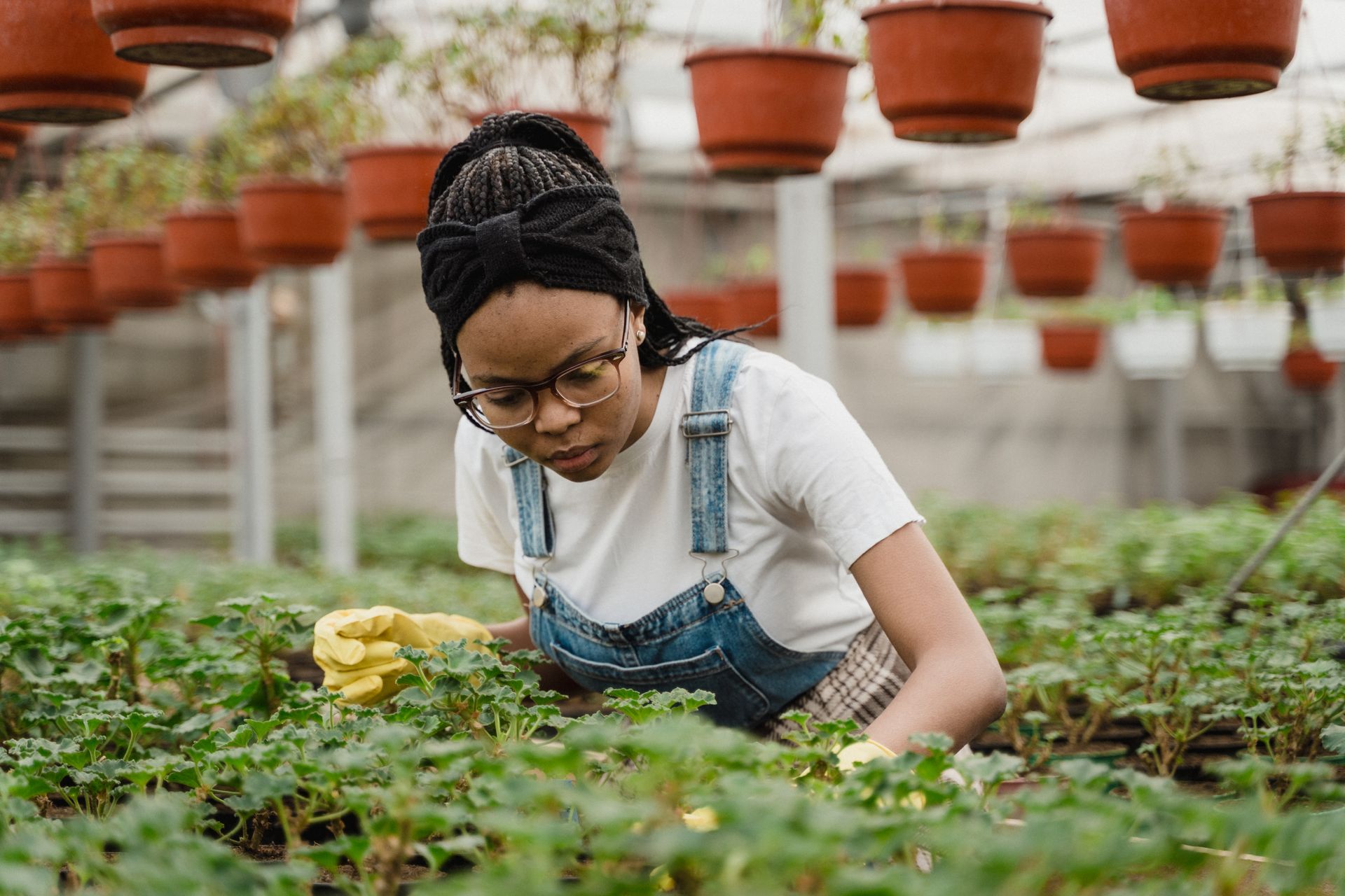 A woman focused on caring for plants in a greenhouse, promoting sustainable gardening.