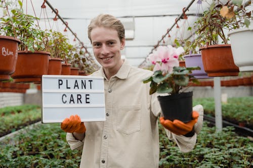 Man Holding a Sign and Potted Flowering Plant