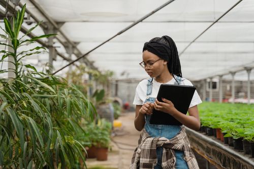 Free Woman in a greenhouse studying plants with a tablet, ideal for horticulture themes. Stock Photo