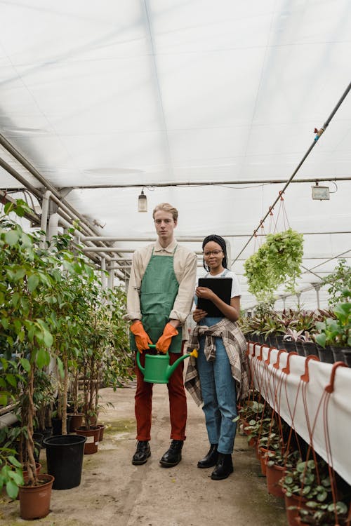 Free man and woman Standing Together Inside a Green House Stock Photo