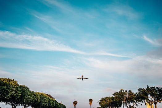 Free stock photo of flying, airplane, plane, landing