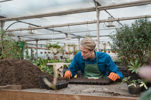 Man in Blue Long Sleeve Shirt Planting Seeds on Soil