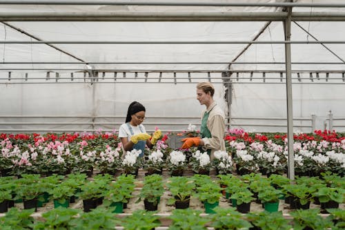 Gardeners Working Together