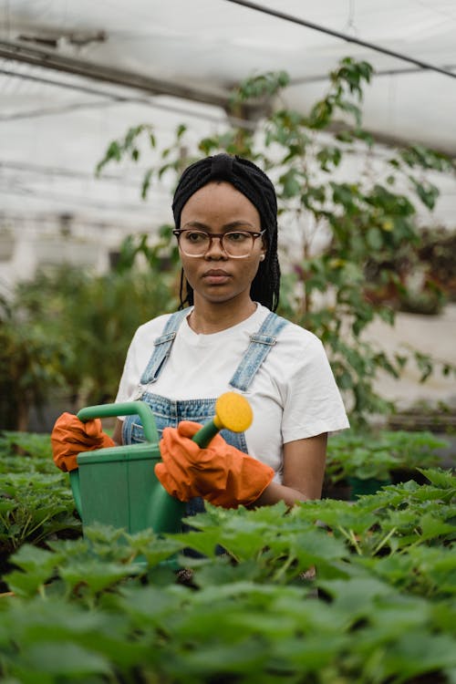 afrikalı-amerikalı kadın, Bahçe, bahçe bakımı içeren Ücretsiz stok fotoğraf