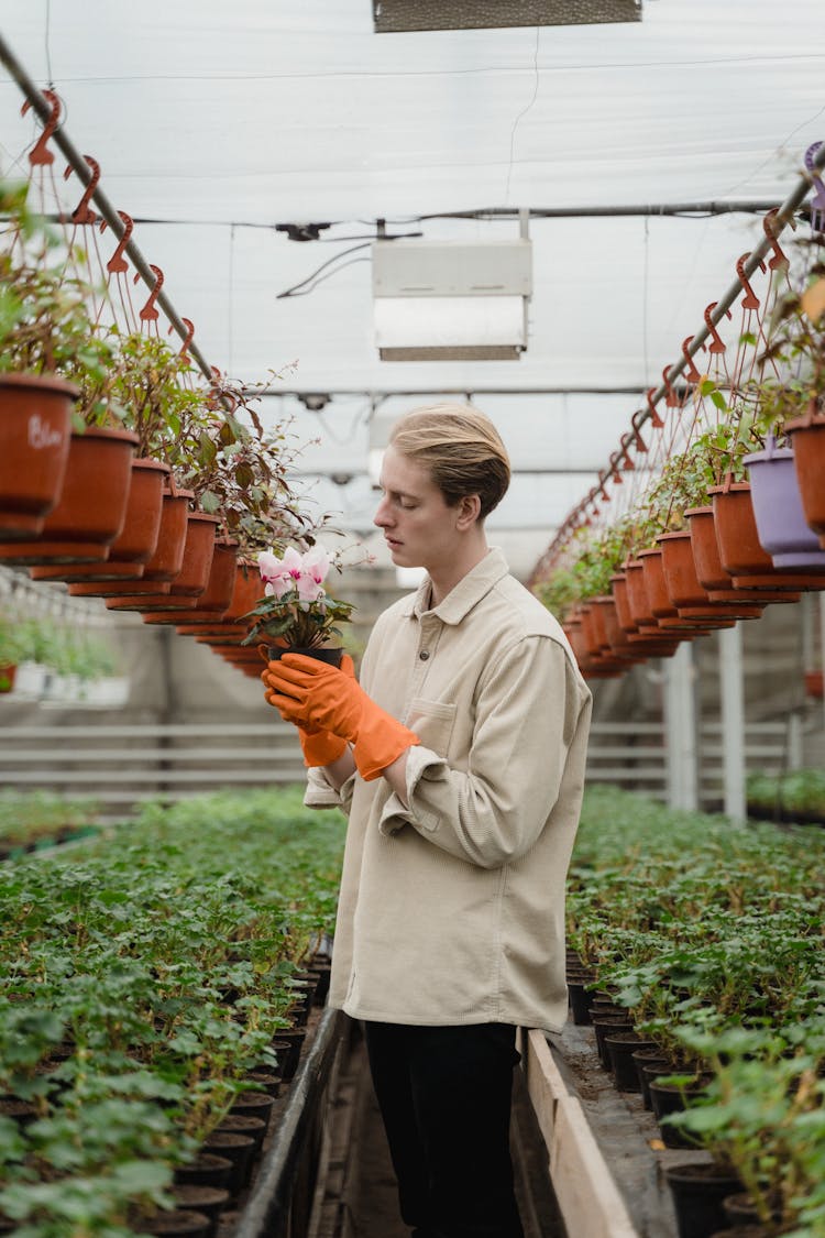 Man Holding A Flowering Potted Plant