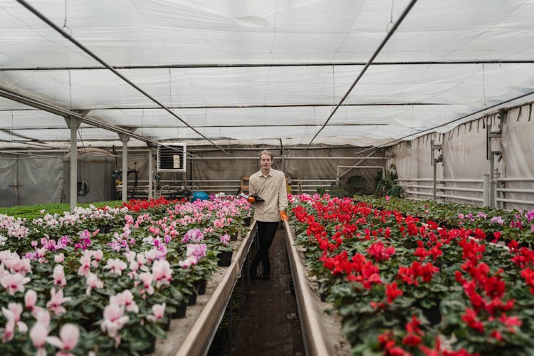 Gardener Standing Between Flowering Plants