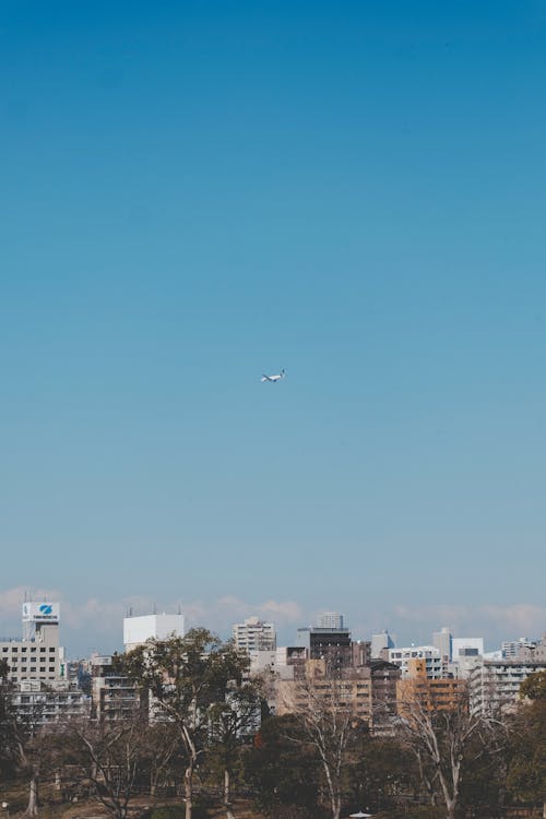 City Buildings Under the Blue Sky