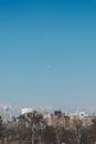 City Buildings Under the Blue Sky