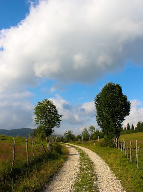 Unpaved Road Between Green Grass Field and Trees Under Cloudy Sky