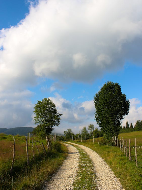 Unpaved Road Between Green Grass Field and Trees Under Cloudy Sky