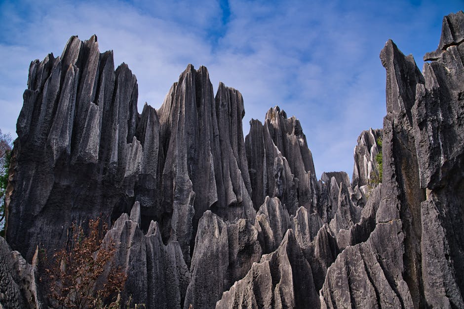 Tsingy's Formations, Madagascar - travel photo