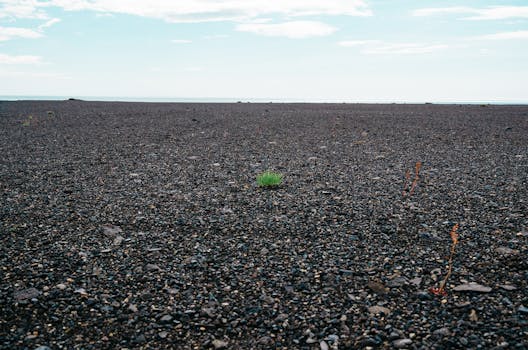 ground stones pebbles