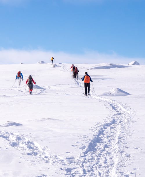 People Trekking on Snow Covered Ground