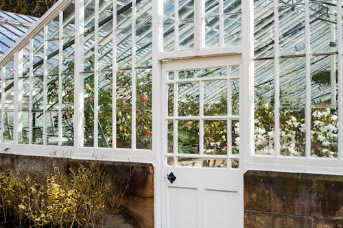 Free White Wooden Framed Glass Door of a Greenhouse Stock Photo
