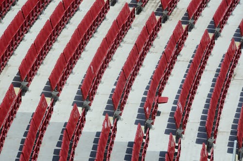 Foto profissional grátis de cadeira dobrável, cadeiras, estádio