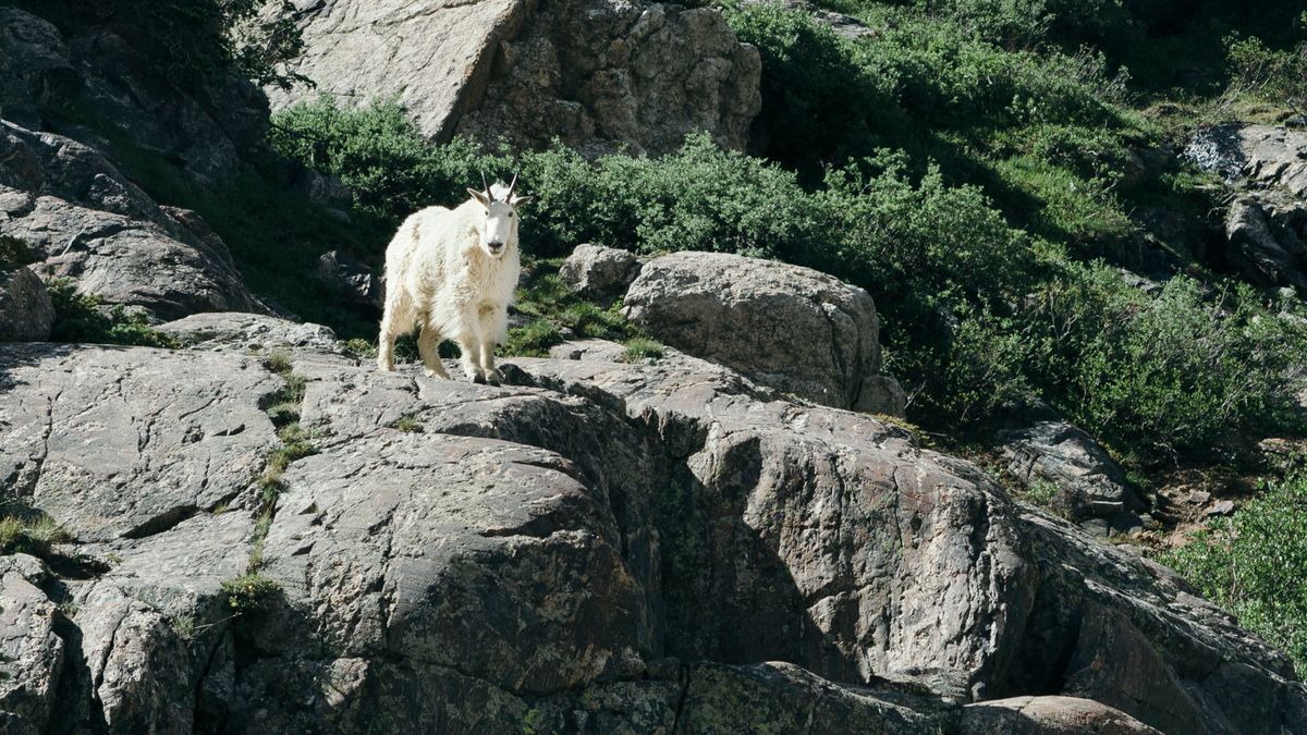 Best Travel Sweepstakes in Colorado Springs, CO: 2026 Local Guide