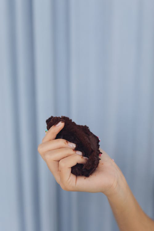 ケーキ, チョコレート, ハンドの無料の写真素材