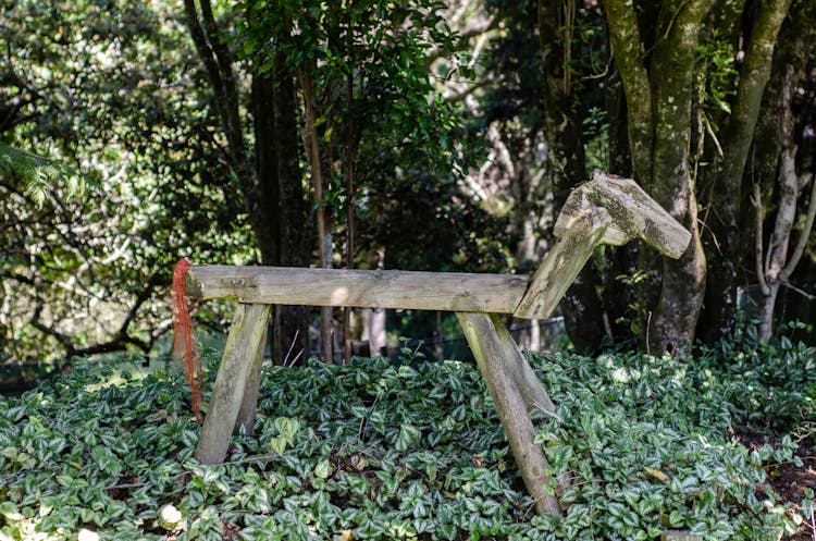 Simple Wooden Horse Statue In A Forest 