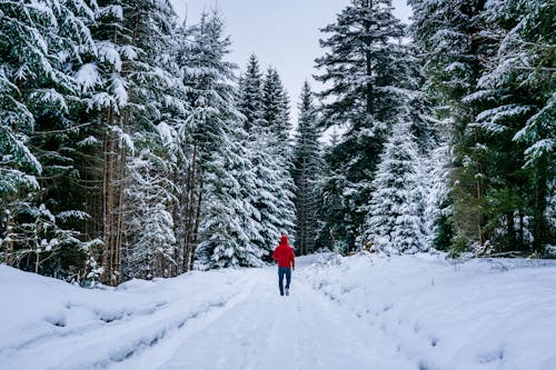 Unrecognizable man walking along snowy forest