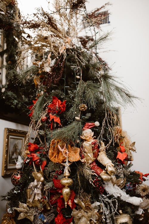 Free Close-up of a Christmas Tree Stock Photo