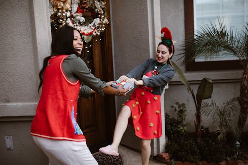 Two Women Fighting over a Christmas Present 