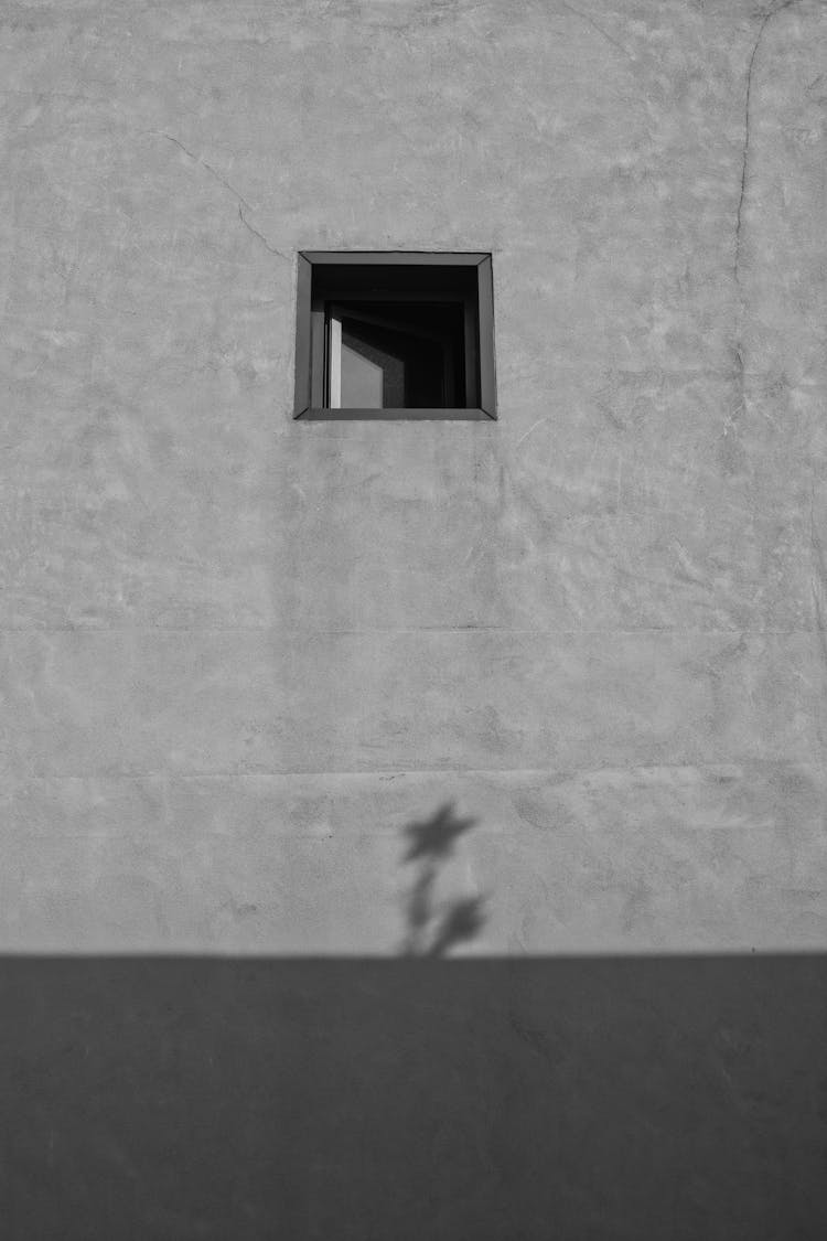 Building With Window And Flower Shade On Wall